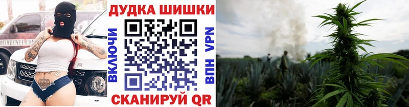 Как найти закладки Тетюши Гашиш  СК  Меф мяу мяу  Псилоцибиновые грибы  КОКАИН 