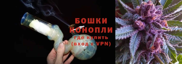 сатива Покров