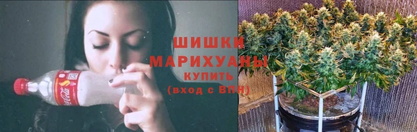 сатива Покров