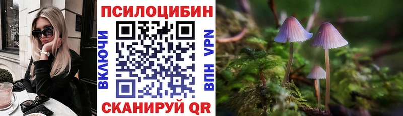 цена   Тетюши  Псилоцибиновые грибы мухоморы 